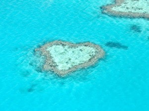Heart Reef, Grande barriere corallina, Australia.