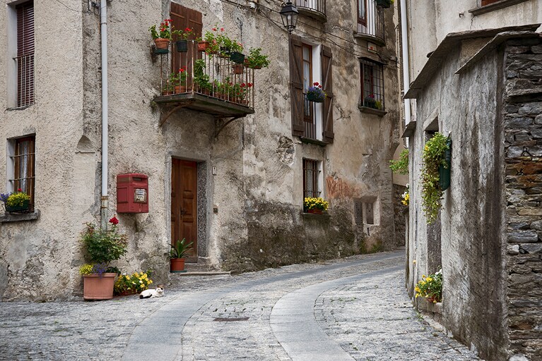 Immagine