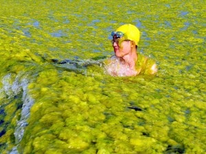 Il mare di Quingdao, in Cina.