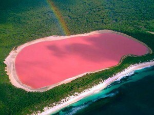 I laghi più rosa del mondo