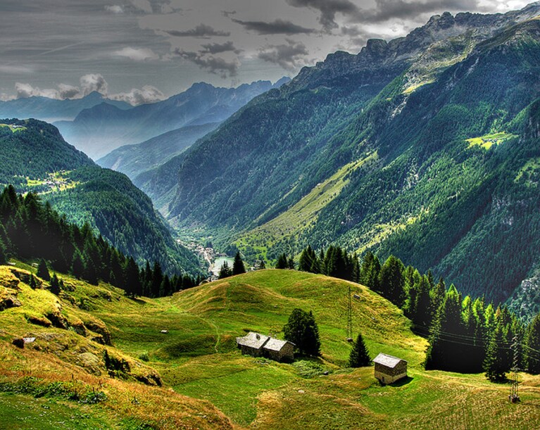 Immagine