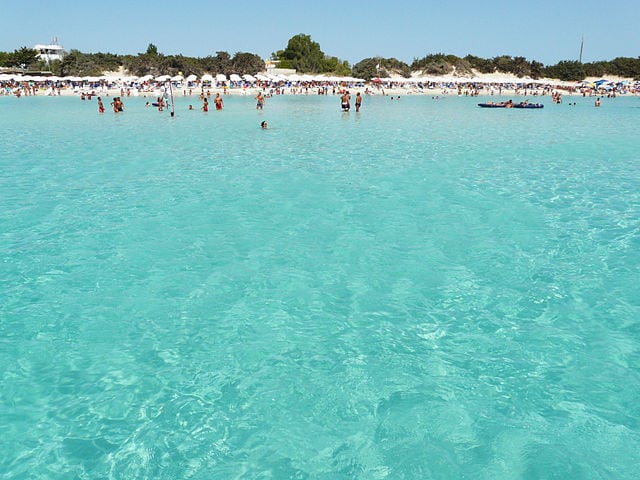 Immagine