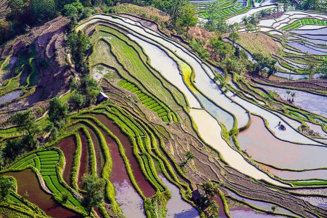 i-terrazzamenti-pi-spettacolari-del-mondo