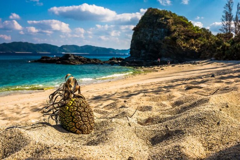 Spiaggia di Zamami Island
