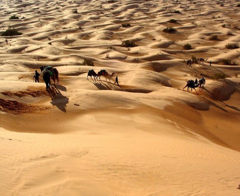 Le grandi dune di Douz