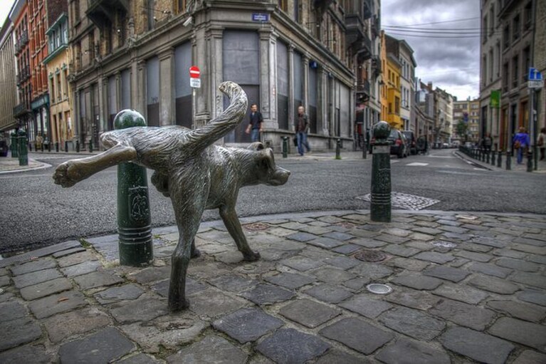 Cane che fa la pipì a Bruxelles