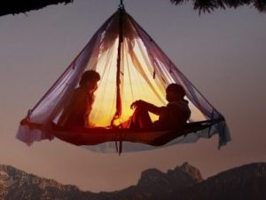 Tree camping
