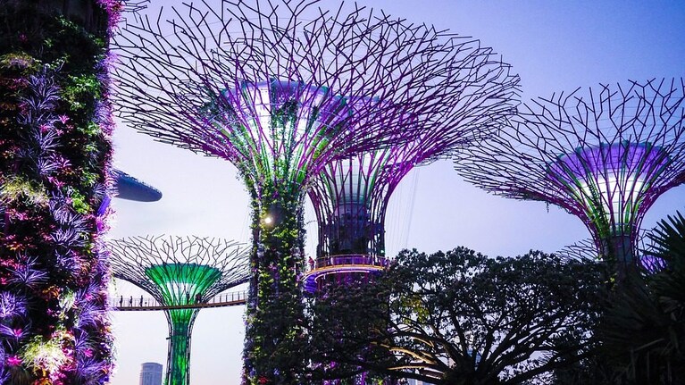 Gardens by the Bay