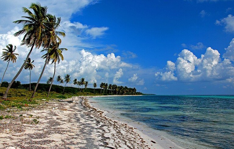 Saona