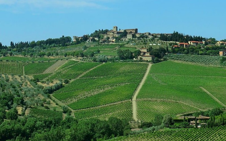 Panzano in Chianti&nbsp;