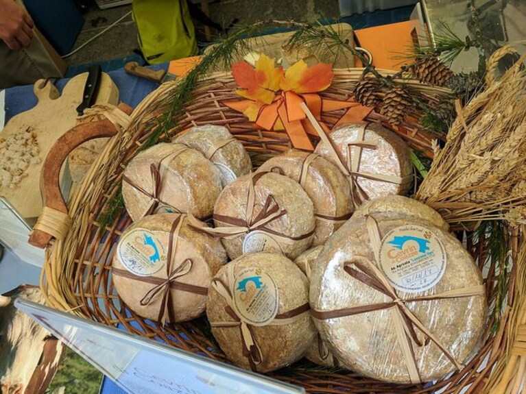 Cheese, manifestazione di Bra.