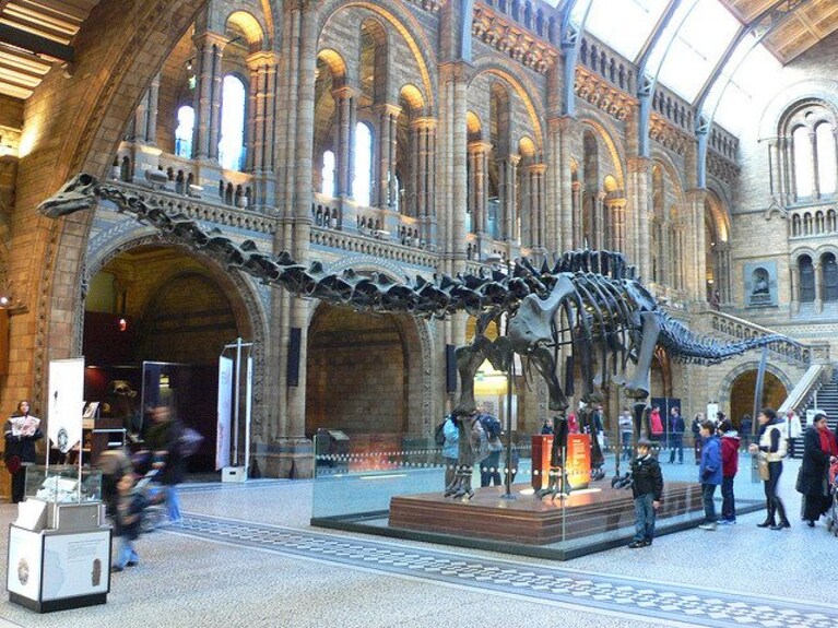 Natural History Museum