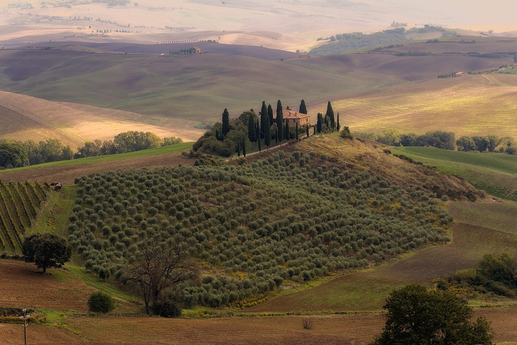 Vista da San Quirico d’Orcia. Foto di <a href="https://www.flickr.com/photos/135988462@N05/30096052965" target="_blank" rel="nofollow noopener">Enrico Pighetti</a>