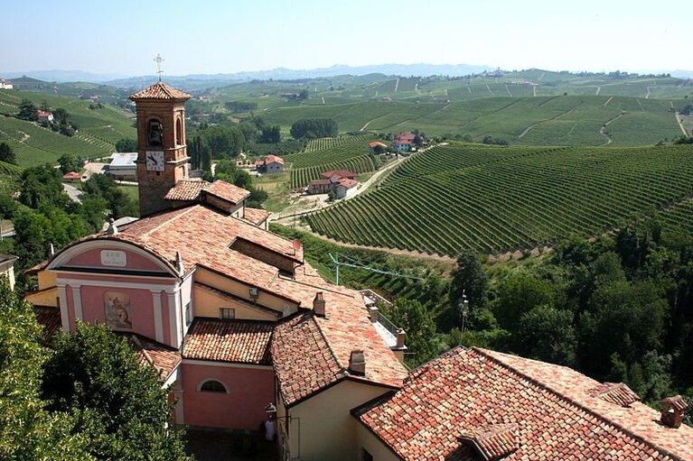 Vista della regione vinicola italiana del Piemonte con vigneti nei pressi di Barolo