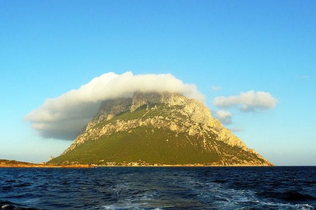isola di Tavolara
