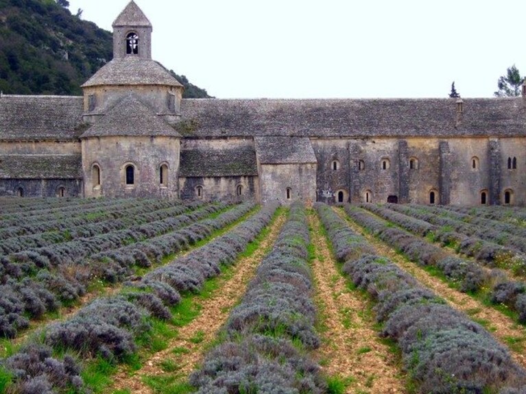 Senanque Abbey, Luberon,