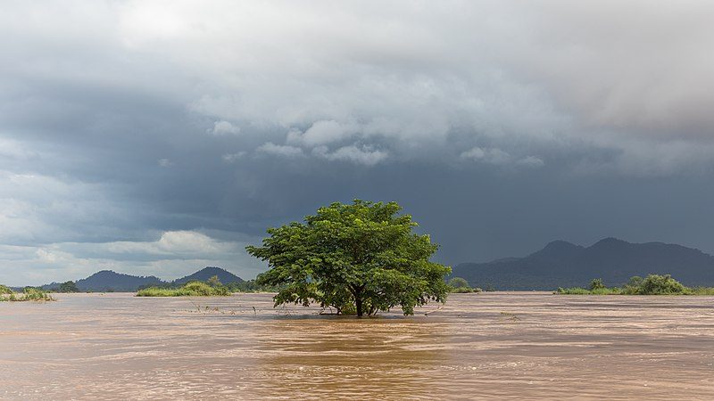 Si Phan Don. Foto di <a href="https://fr.wikipedia.org/wiki/Fichier:Submerged_tree_under_a_dark_sky_in_Si_Phan_Don.jpg" target="_blank" rel="nofollow noopener">Basile Morin</a>