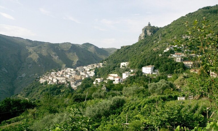 Buonvicino