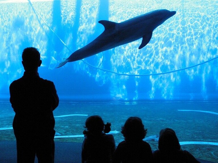 Acquario di Genova
