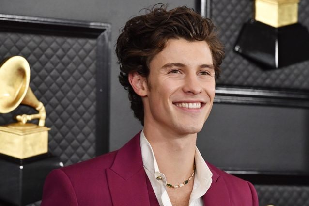 Shawn Mendes (Frazer Harrison/Getty Images for The Recording Academy)