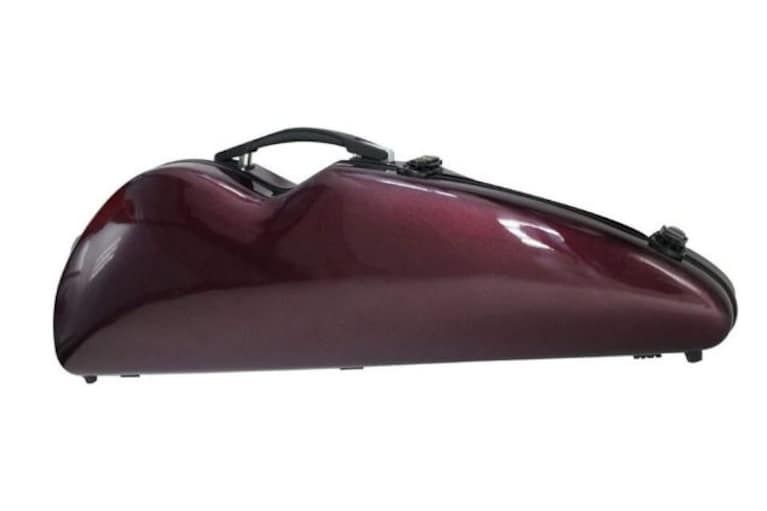 custodia per violino