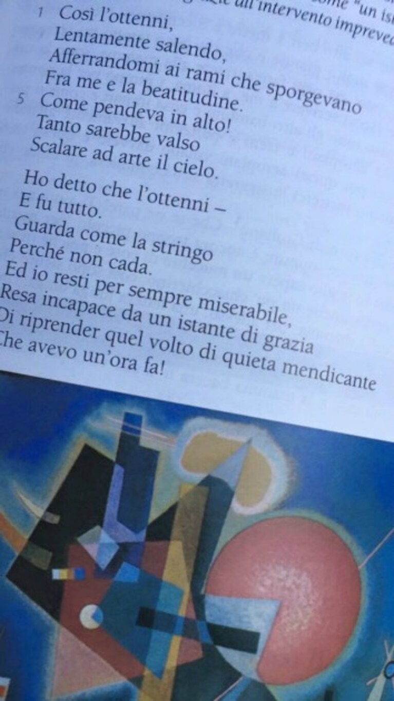 Immagine