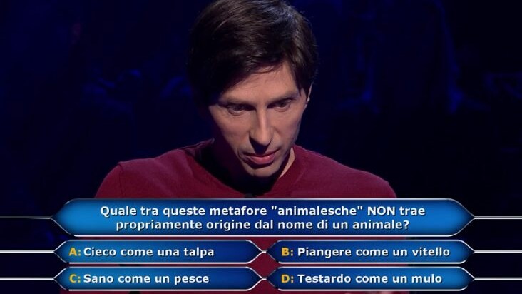 Immagine
