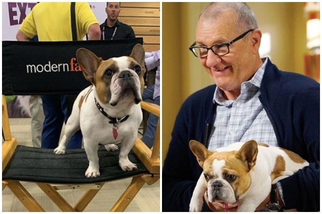 Lutto nel cast di Modern Family, è morta Stella la cagnolina di Jay Pritchett