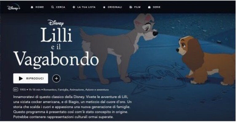 Immagine