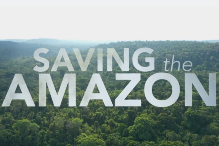 documentario saving the amazon