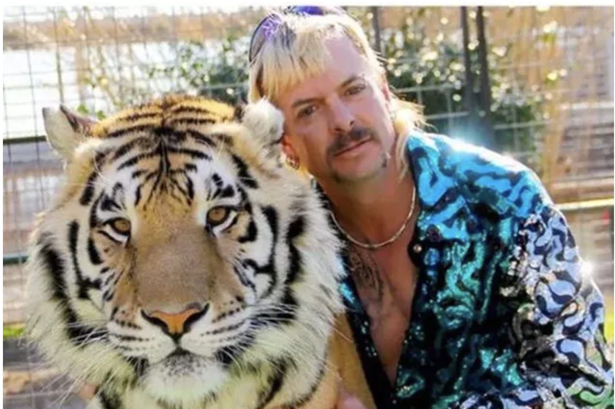 Annullata la serie Amazon su Joe Exotic con Nicolas Cage