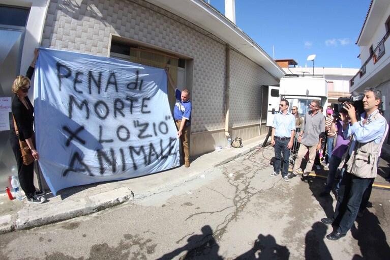 Immagine