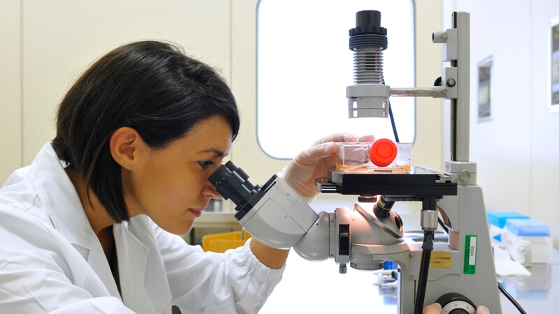 borsa di studio e indennità di disoccupazione