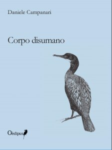 La copertina