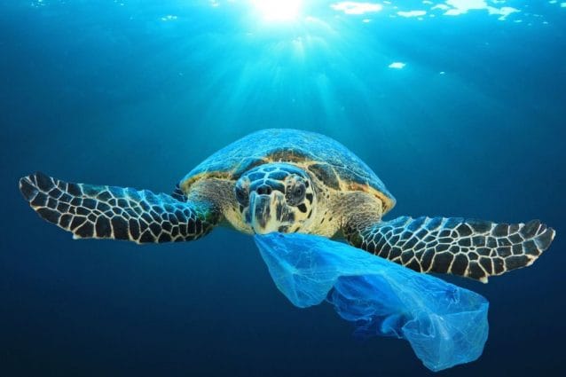 plastica-plastica nei mari-inquinamento-inquinamento marino-angelo andrea vegliante-blog-fanpage.it-europa-italia-plastica monouso