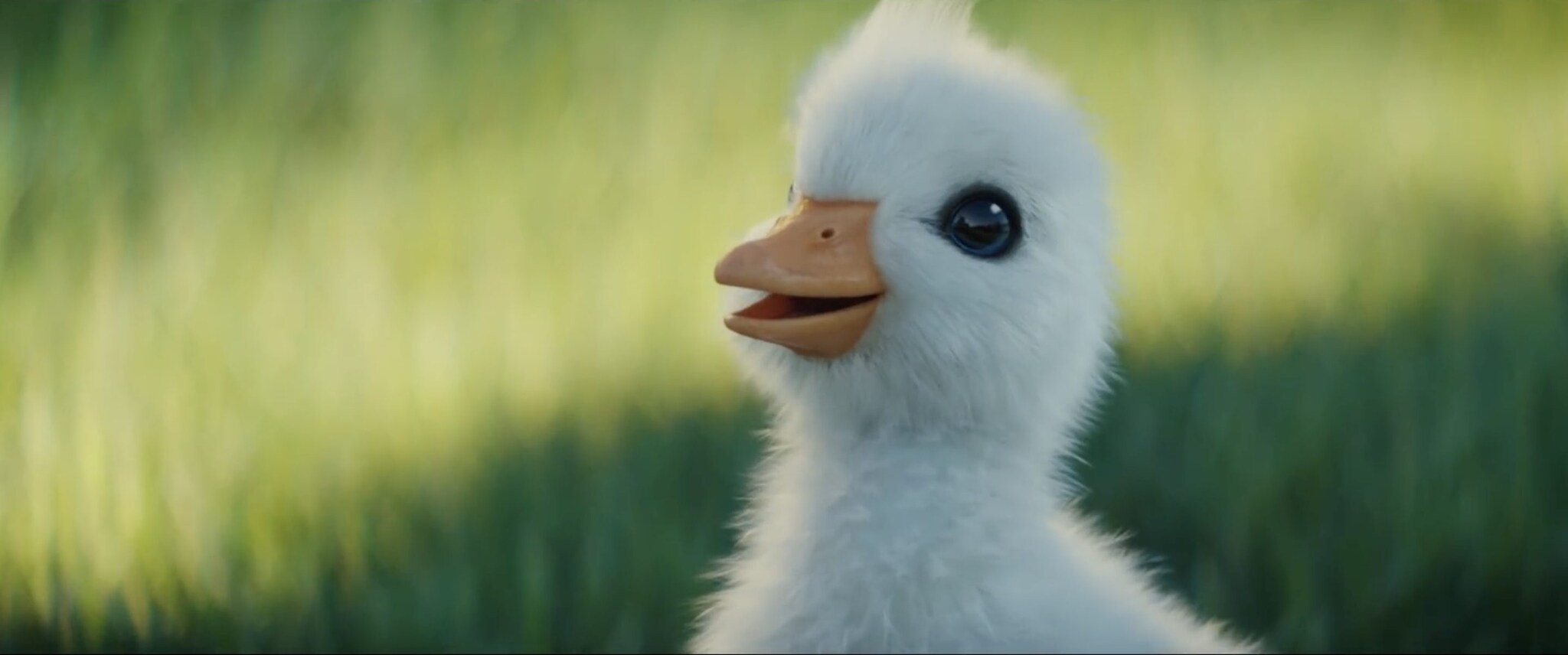 spot disneyland paris 2018-spot disneyland paris anatroccolo-anatroccolo disneyland paris-paperino-donald duck