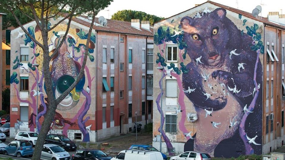 Immagine
