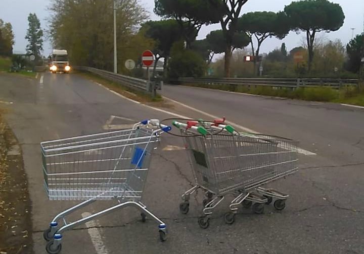 Immagine