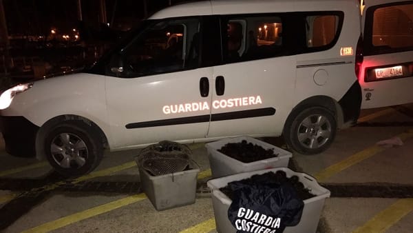 guardia_costiera_ricci_mare