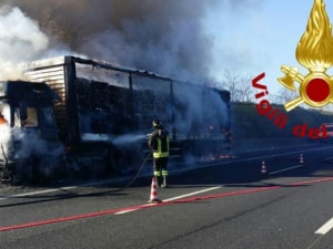 Immagine di repertorio