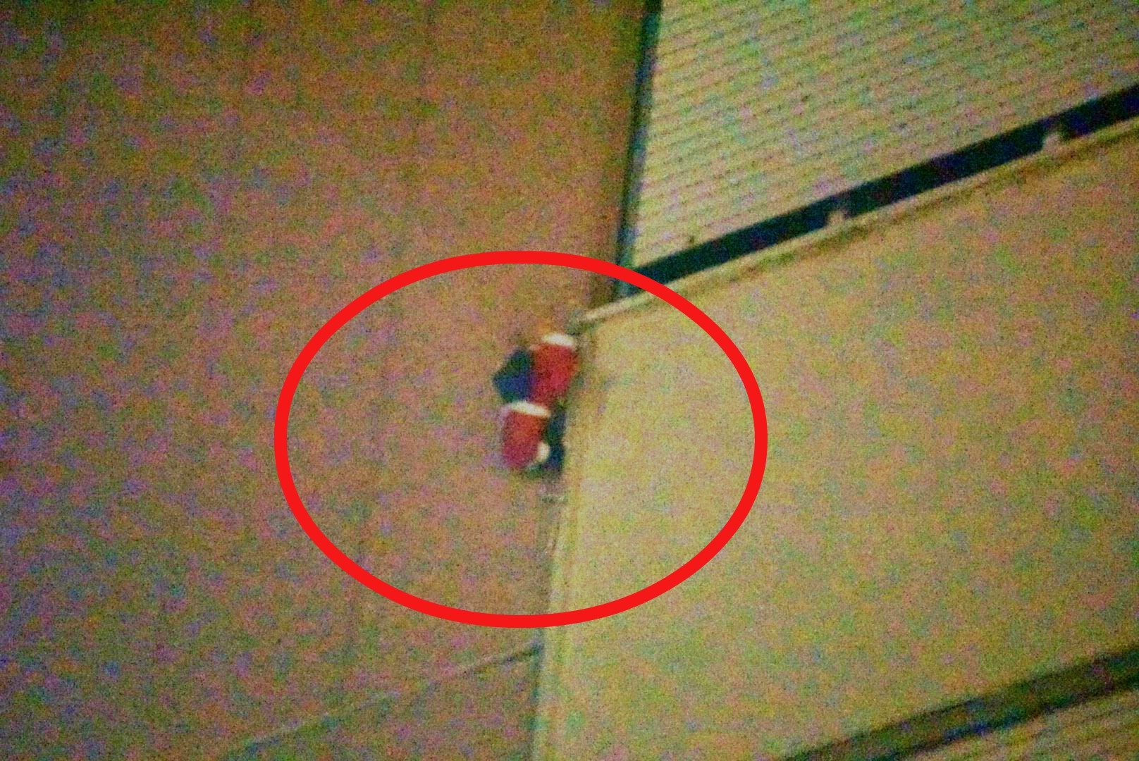 Il pupazzetto di Babbo Natale che il bimbo cercava di afferrare