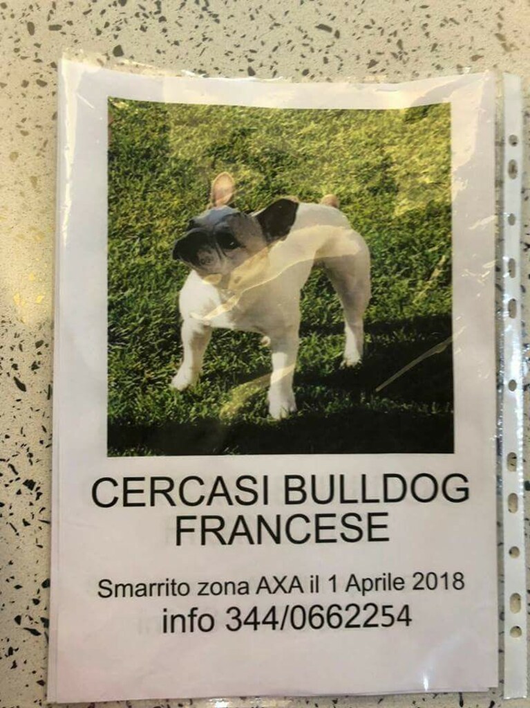 Immagine