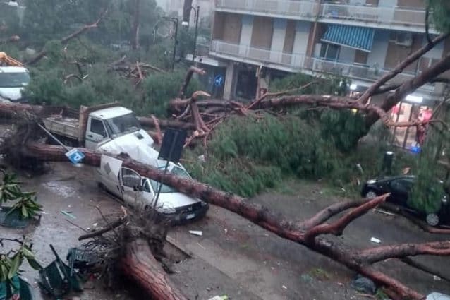 Praticamente tutti gli alberi di viale delle Vittorie sono crollati