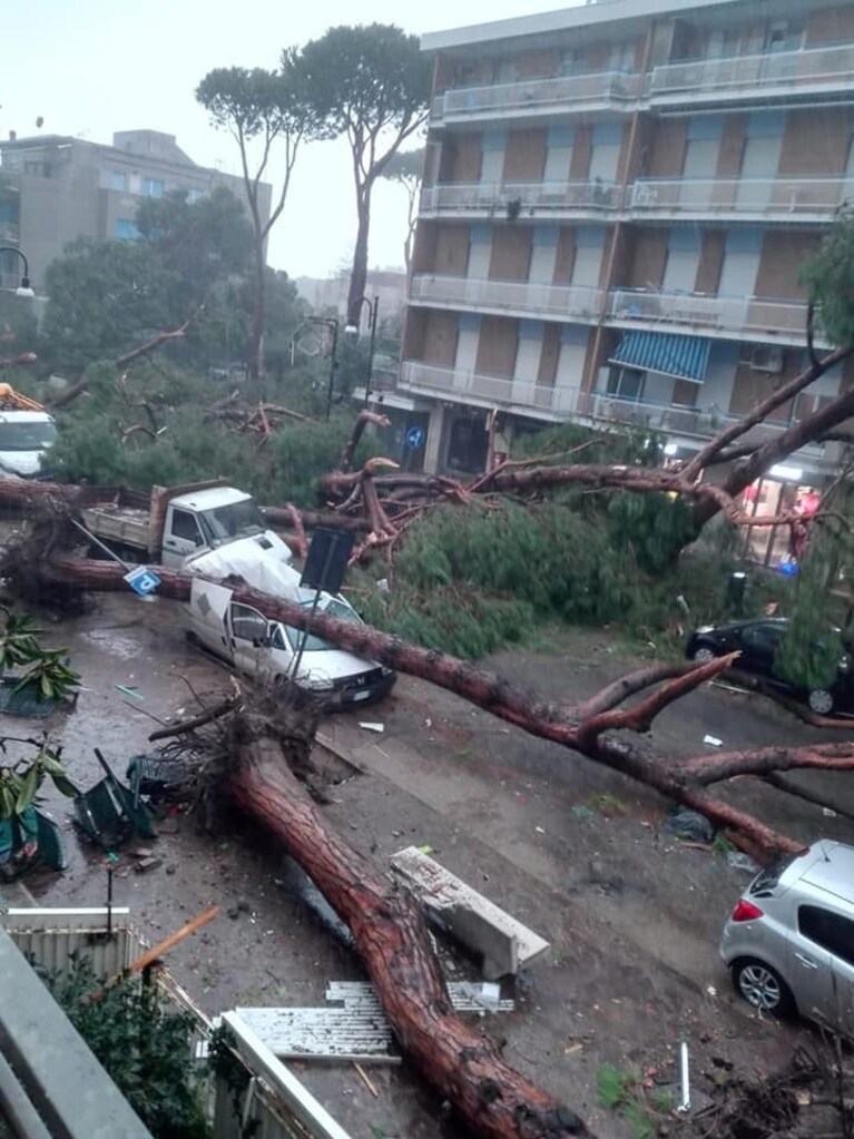Praticamente tutti gli alberi di viale delle Vittorie sono crollati