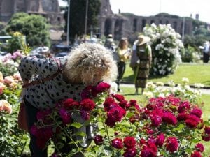 Immagini del Roseto comunale di Roma (Fonte: La Presse)