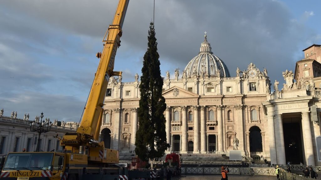 albero di natale 2018 san pietro