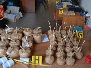I fuochi d’artificio illegali sequestrati dai poliziotti – foto Questura di Roma
