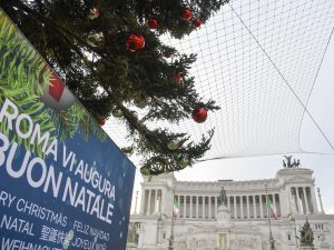 Spelacchio imbragato roma