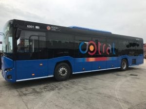 Bus Cotral – foto Cotral