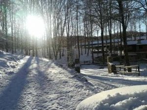 Neve sul Monte Livata (Foto di Meteo Roma e Castelli)